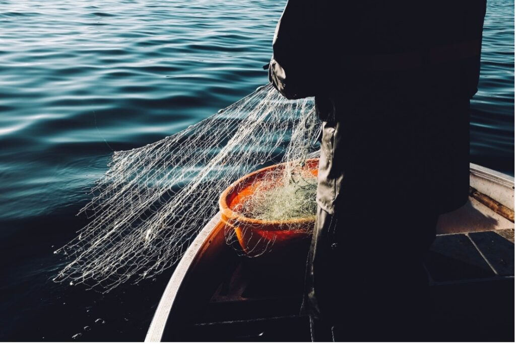 Catching fish with net and boat